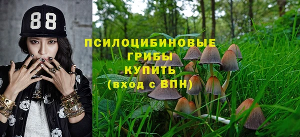 дмт Володарск