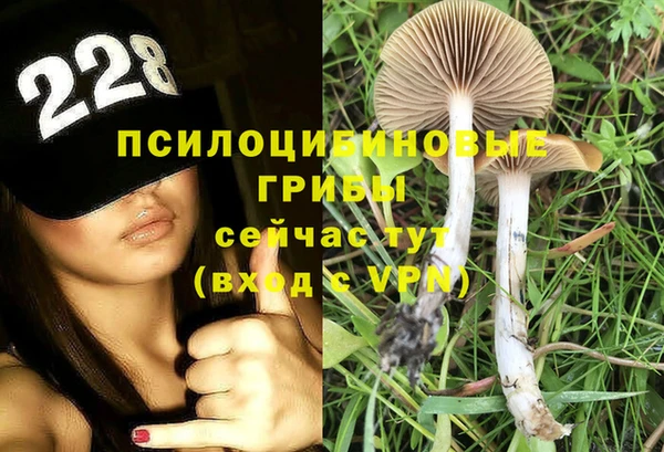 дмт Володарск