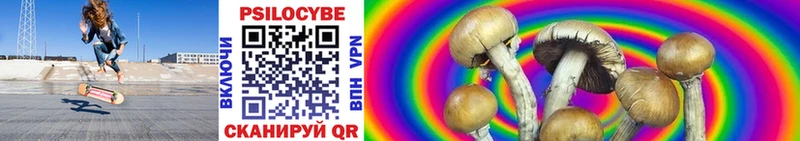 Галлюциногенные грибы Psilocybine cubensis  где купить   Екатеринбург 